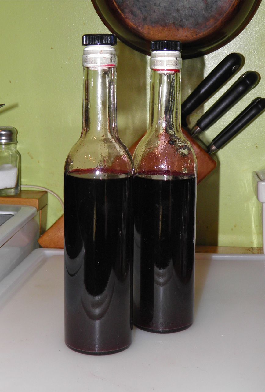 Docaitta Lifestyle Recipe Blueberry Tarragon Vinegar