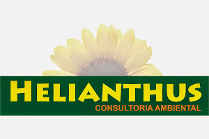 HELIANTHUS AMBIENTAL