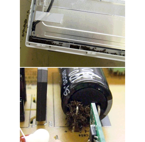 Surprising Things Found Inside Computers