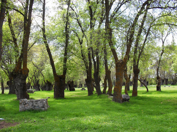 EL SOTO - Avila.