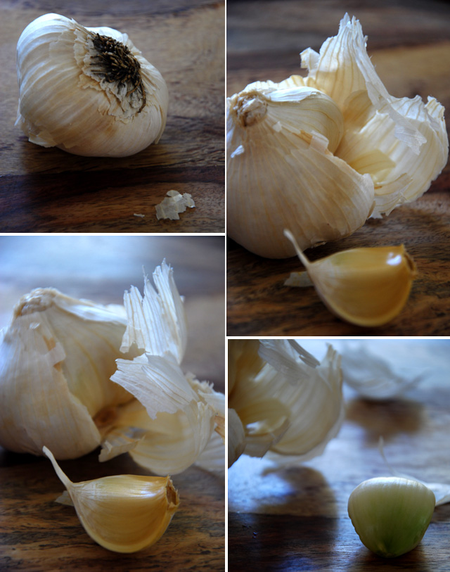 Nature Made Garlic Tablets Nature Made Garlic Tablets
