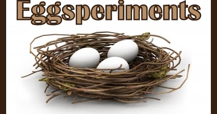 Kathys Cluttered Mind: Eggstraordinary Science Eggsperiments