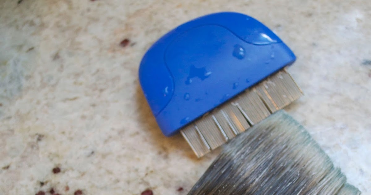 CK and Nate header How to Get Dried Paint Out of a Paintbrush