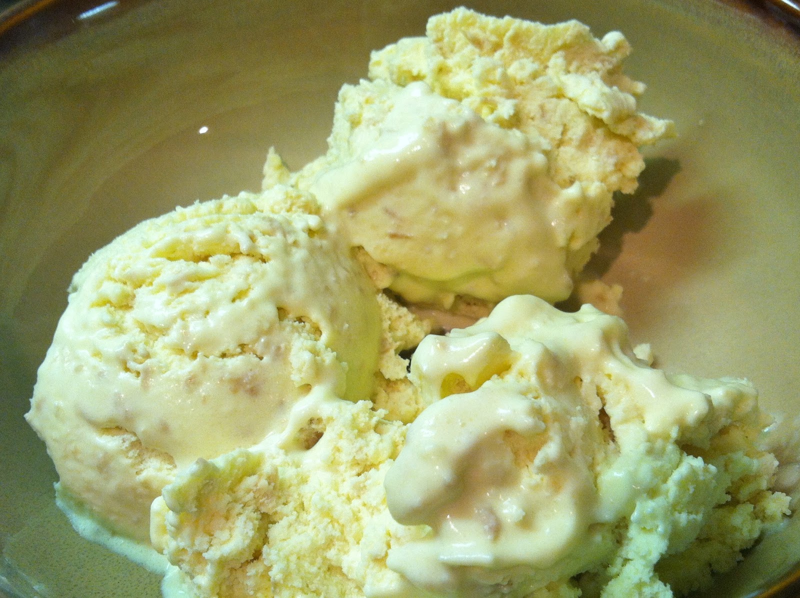 Low Carb Layla Rum and Toasted Coconut Ice Cream