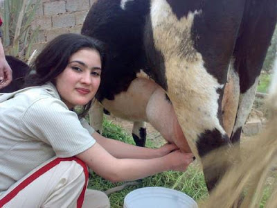 free chat pakistani chat room