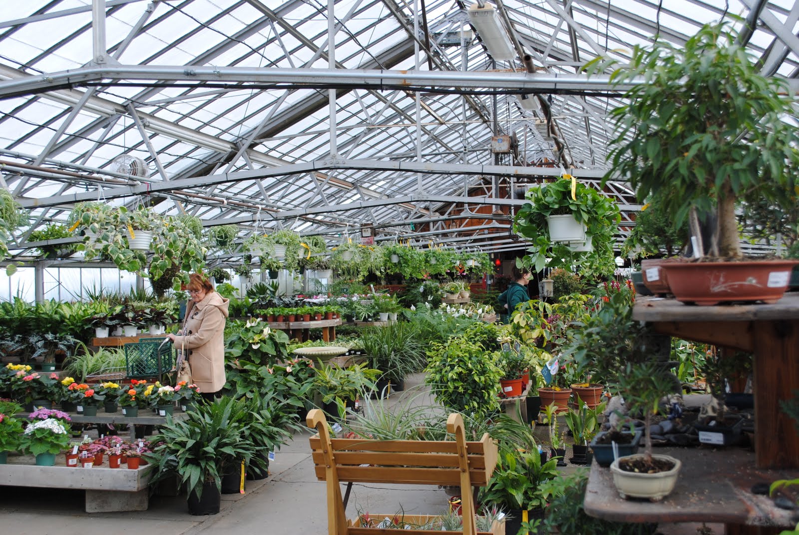 Potted Farm Garden Center