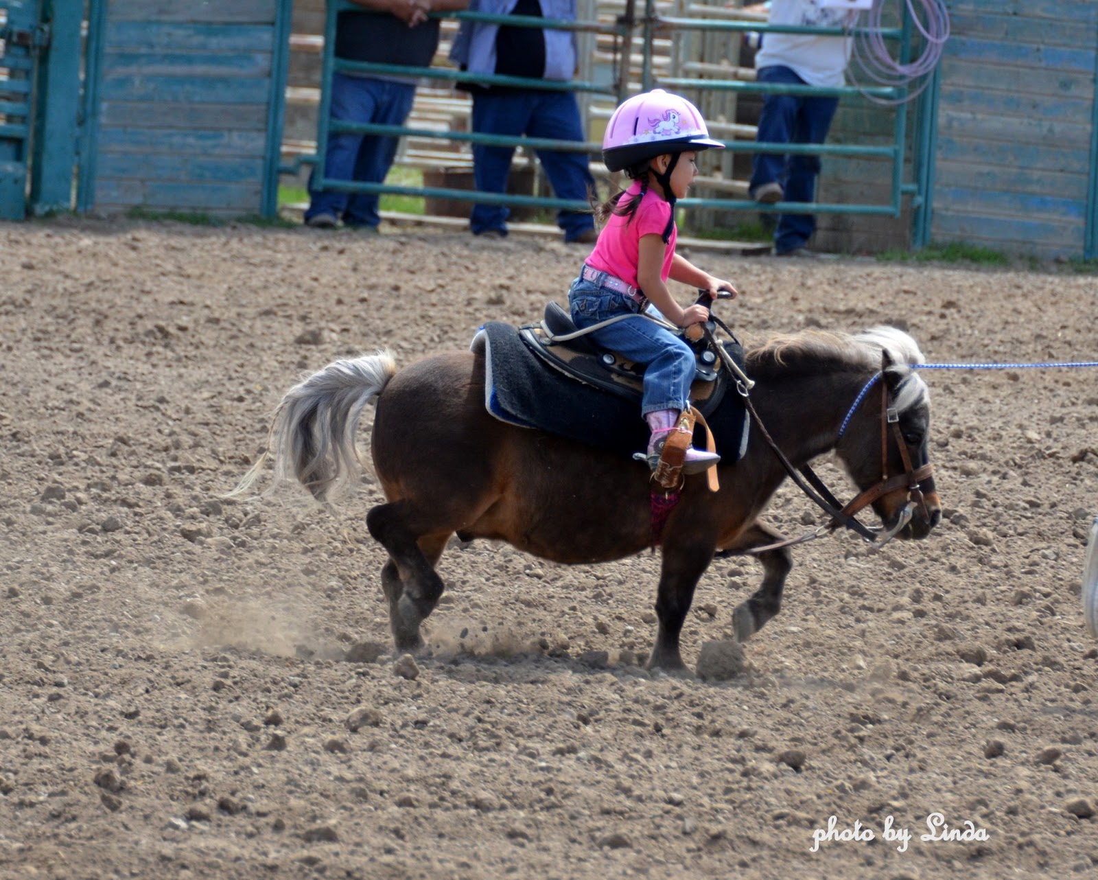Oregon through my eyes Root Feast Rodeo kids day