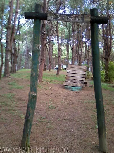 crosby park crosby park