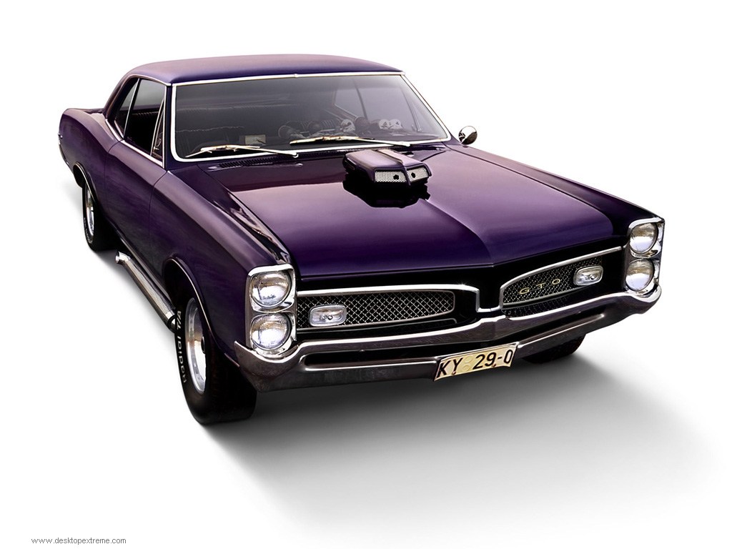 camaro camaro