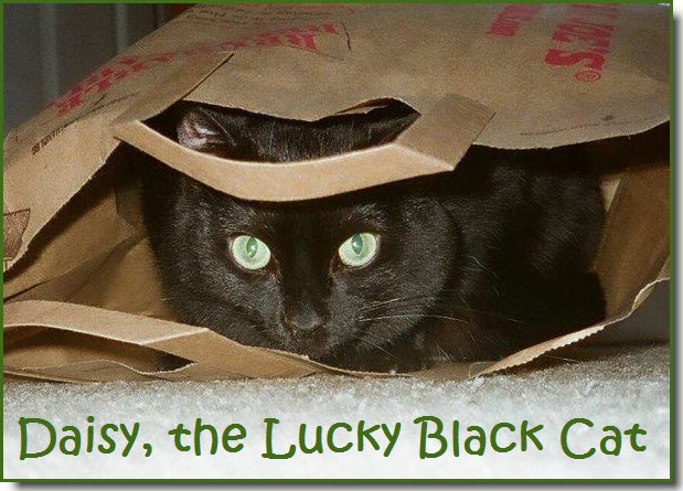 Daisy, The Lucky Black Cat