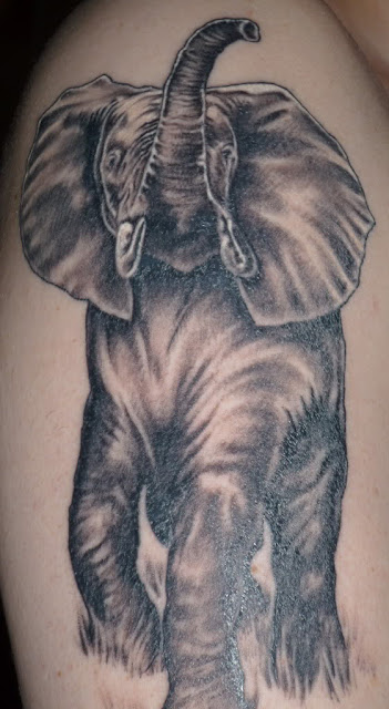 Elephant Tattoos