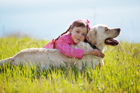 What Pain Killers Can My Dog Have What Pain Killers Can My Dog Have