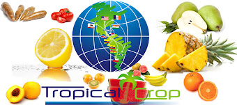 WORLD FOOD PRODUCTS CORP