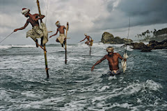 sri lanka fishing