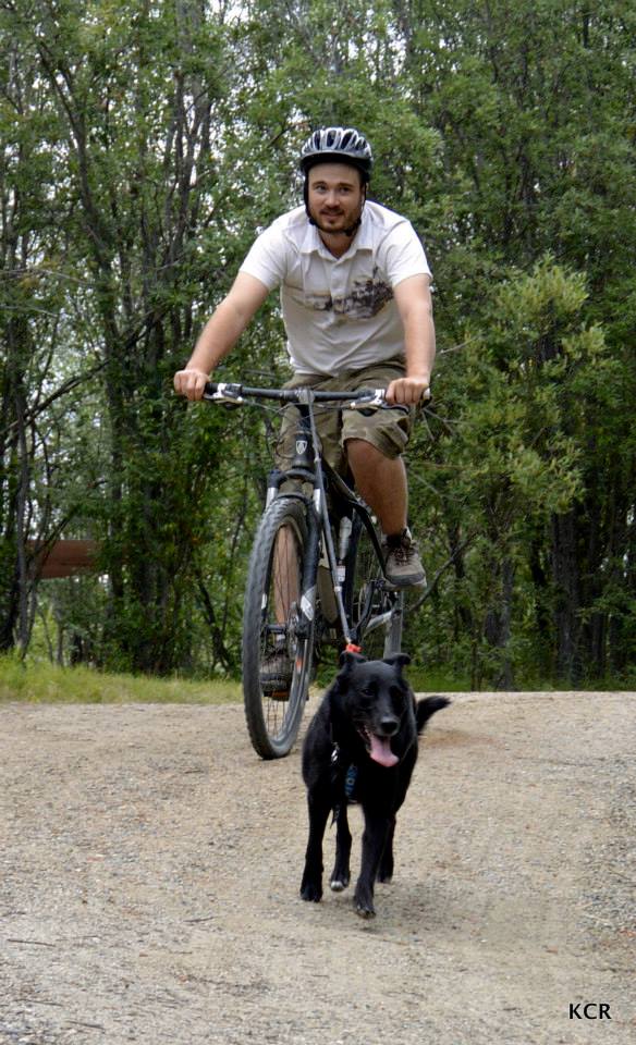 Skijor OxfordDogs Bikejoring