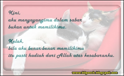 Gambar Terbaru Kata Kata Bijak Gokil | ZONA RE~INFO
