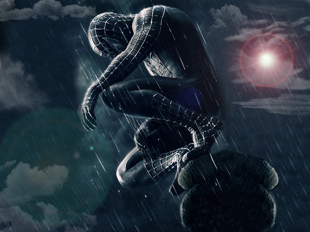 Spider Man Spider Man