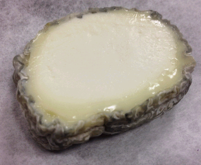Sainte-Maure Cheese Sainte-Maure Cheese