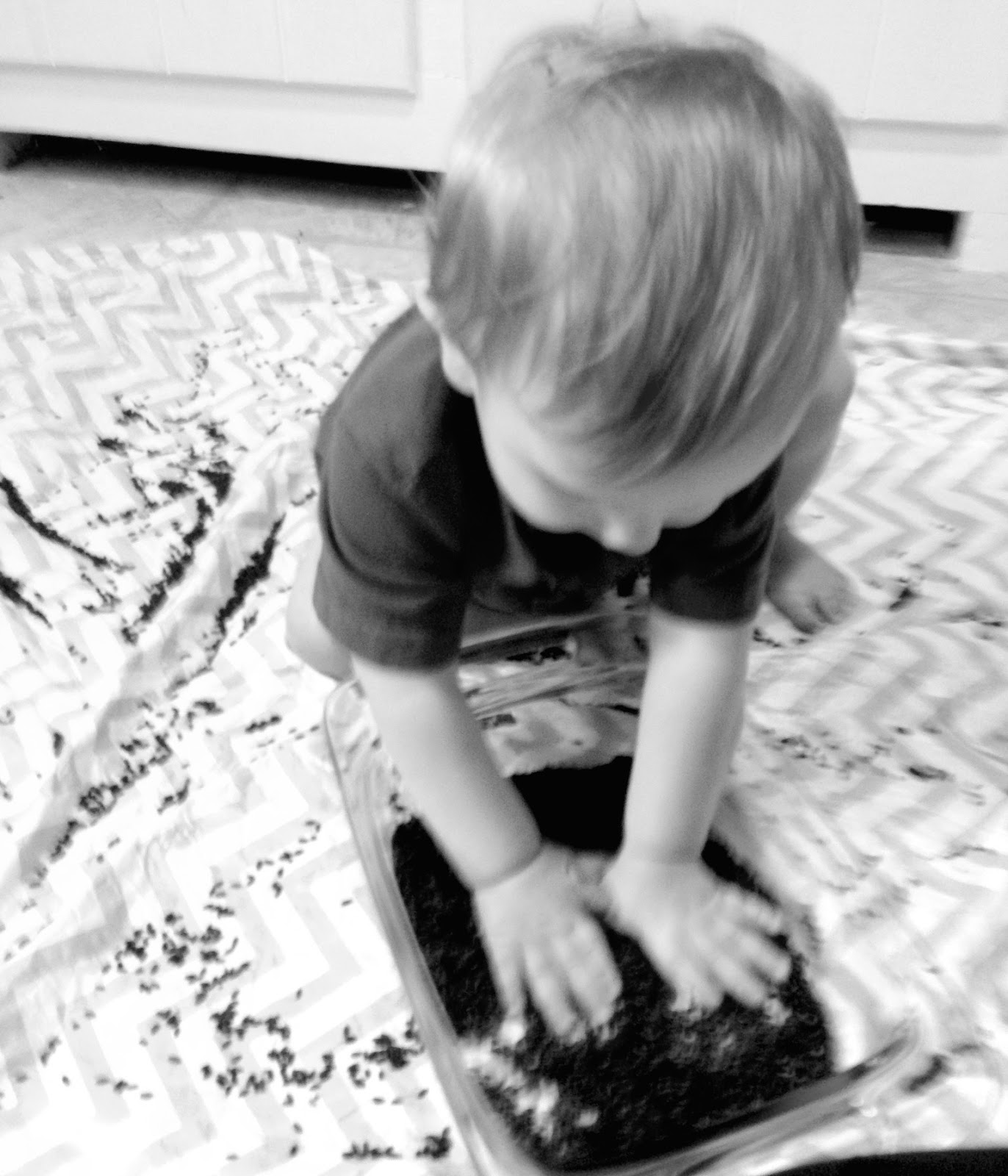 House of Burke: 100 Sensory Play Ideas