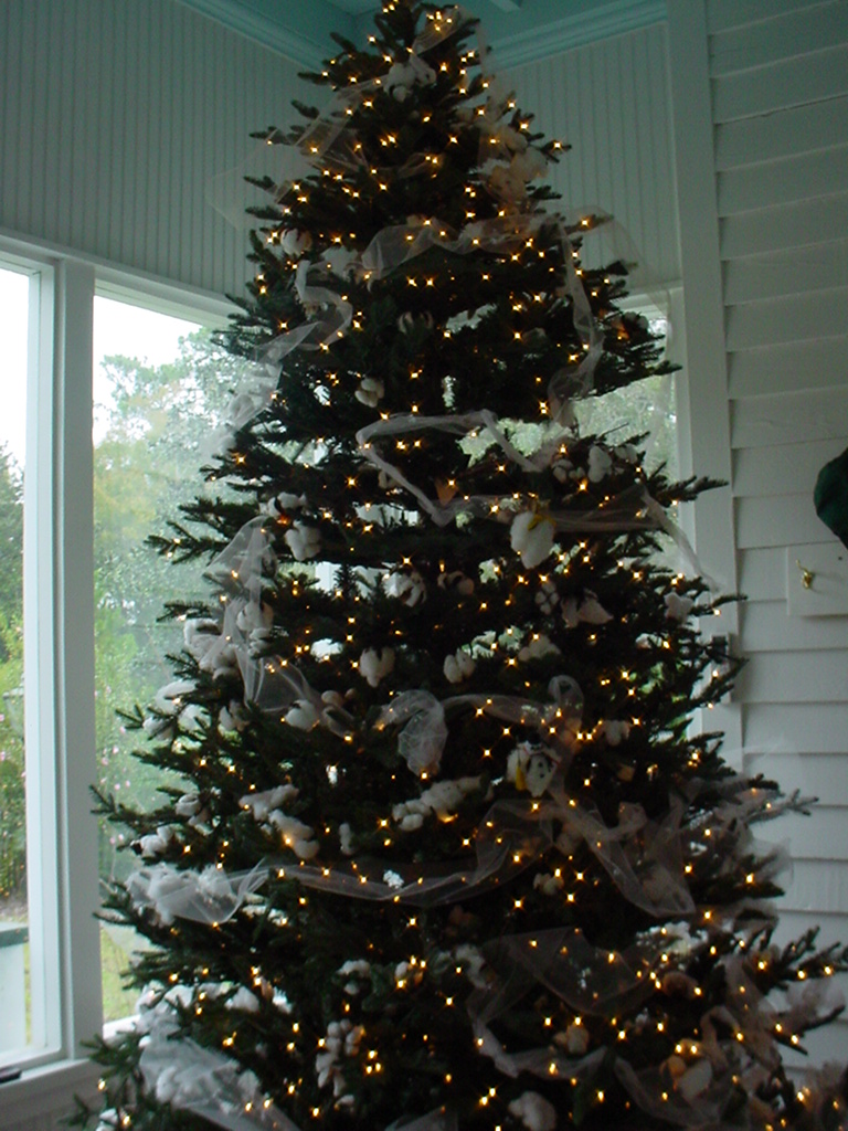 黒い虹Blackrainbow 黒い虹: Christmas Trees Around the World