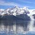 Bucket List Check Off-Alaska Cruise!