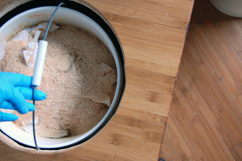 A Great Leap in the Dark Prairie Trippin'