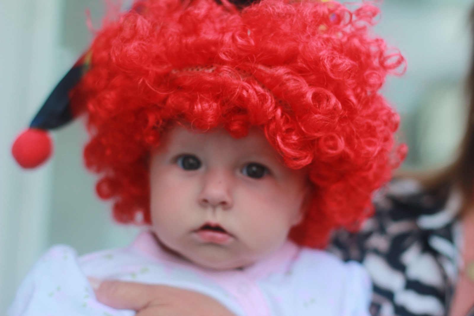 Run! Miss Nelson's Got the Camera: Circus Fun! Freebie! And MORE!