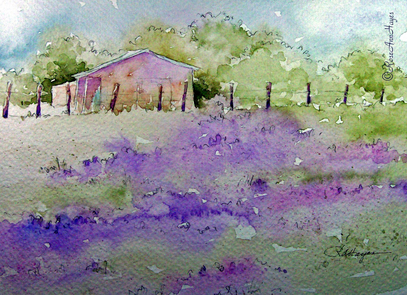 Watercolor Paintings by RoseAnn Hayes Lavender Field Watercolor Painting