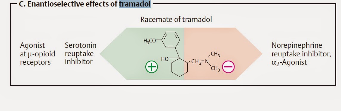Tramadol and serotonin reuptake