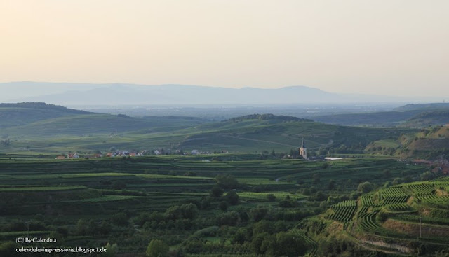 Kaiserstuhl Rheintal Dunst