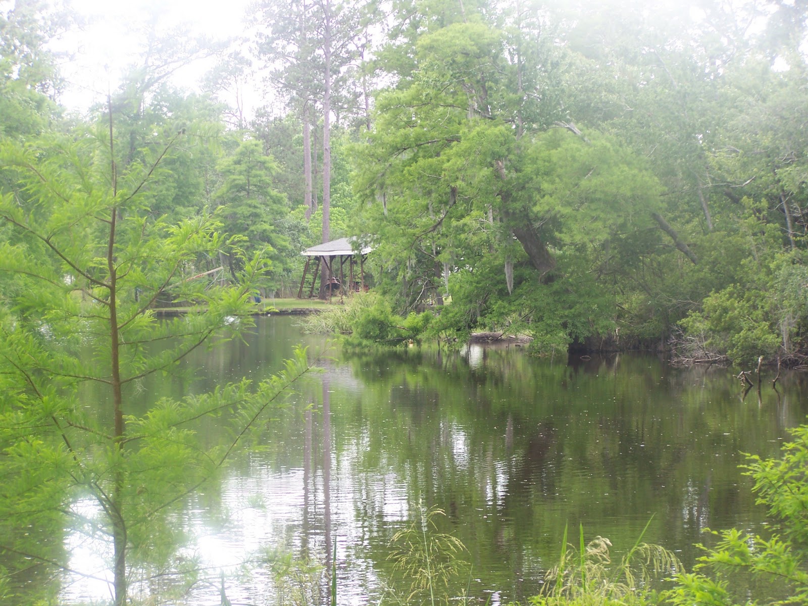 Woodridge Bed and Breakfast Slidell Louisiana Shootin' the Breeze