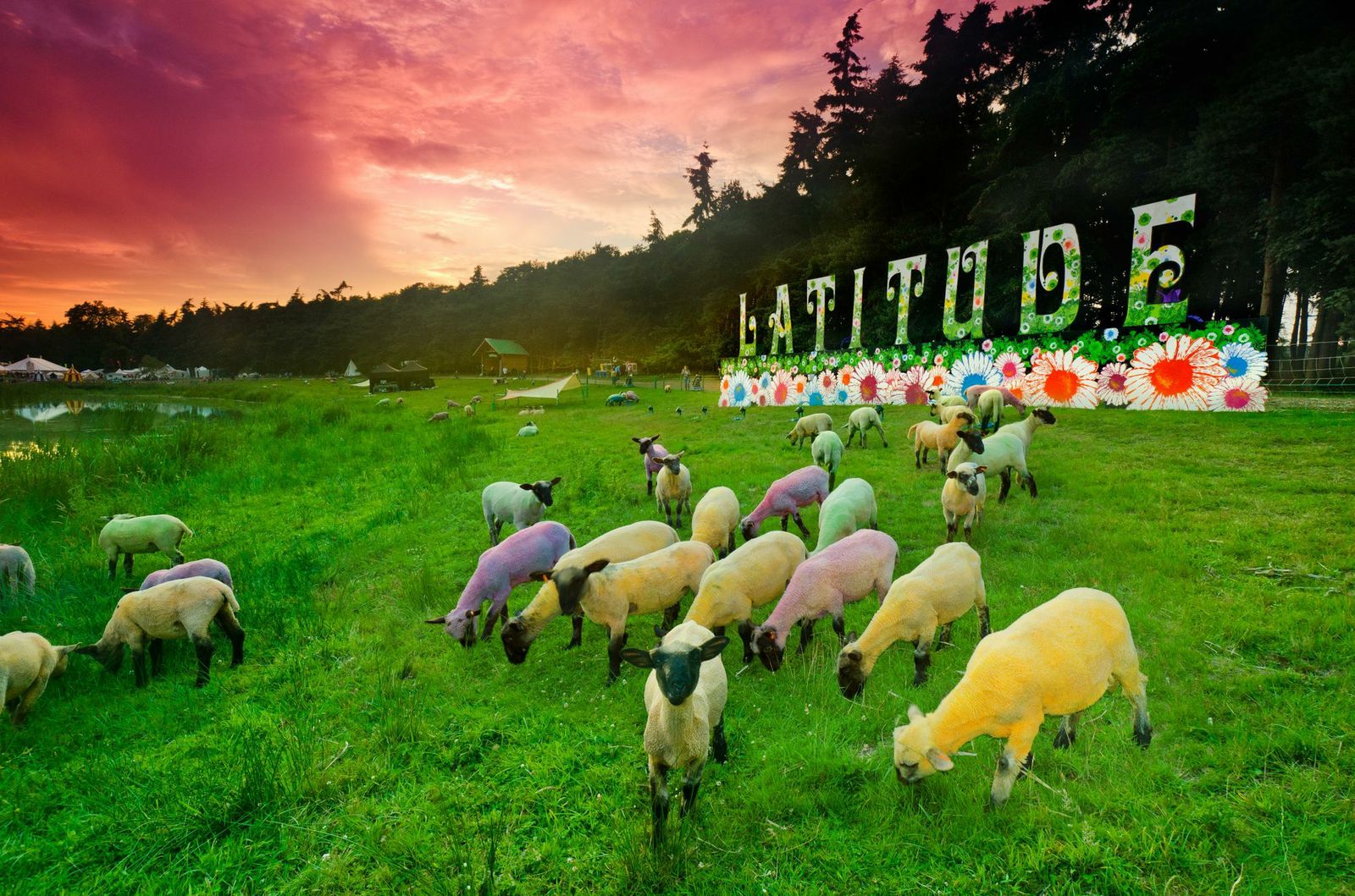 Latitude festival