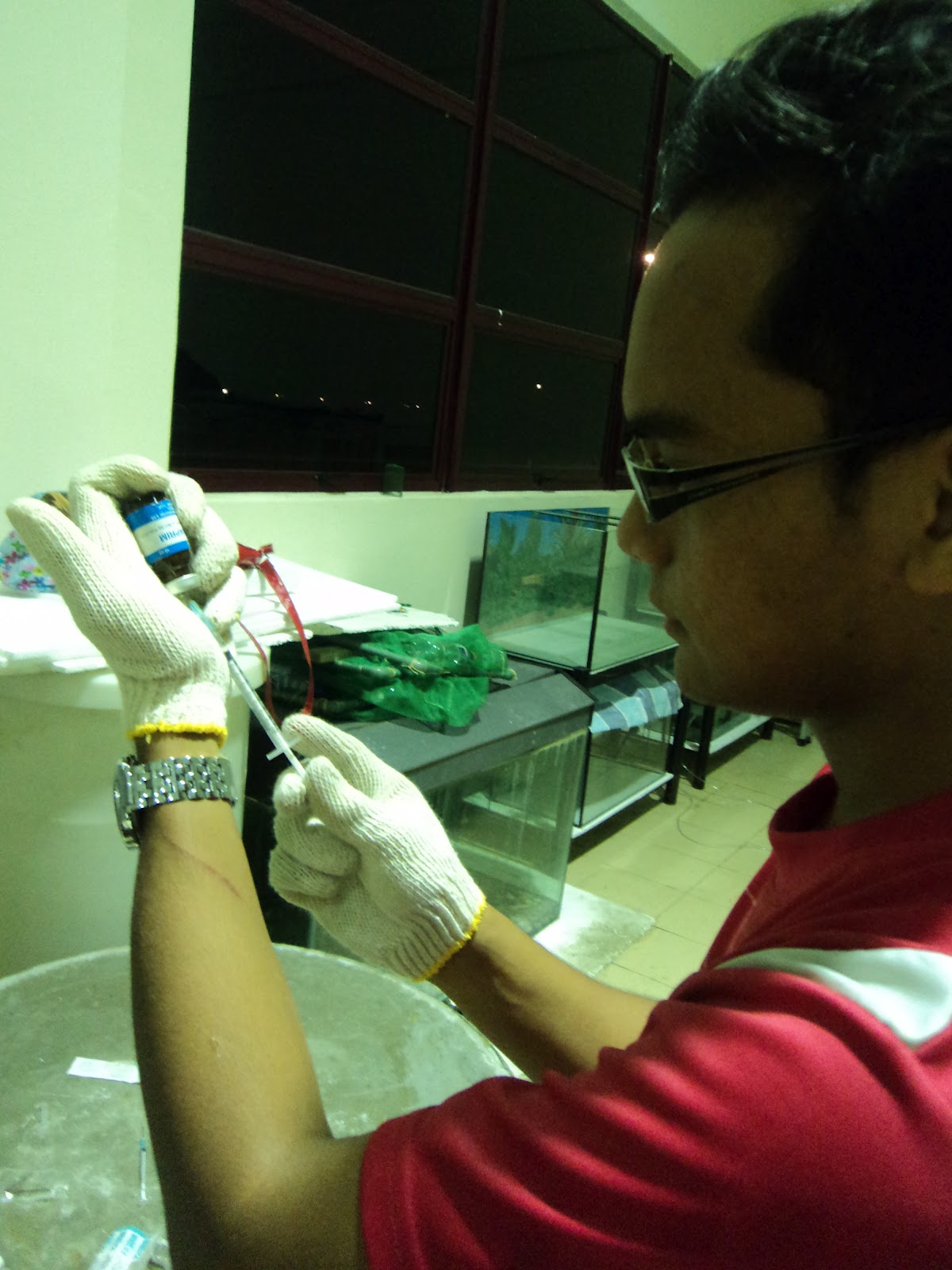 Kelah, Biotechnology, Aquaculture, Mariculture & Me African Catfish