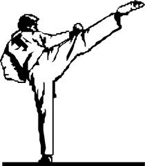 evolusi taekwondo