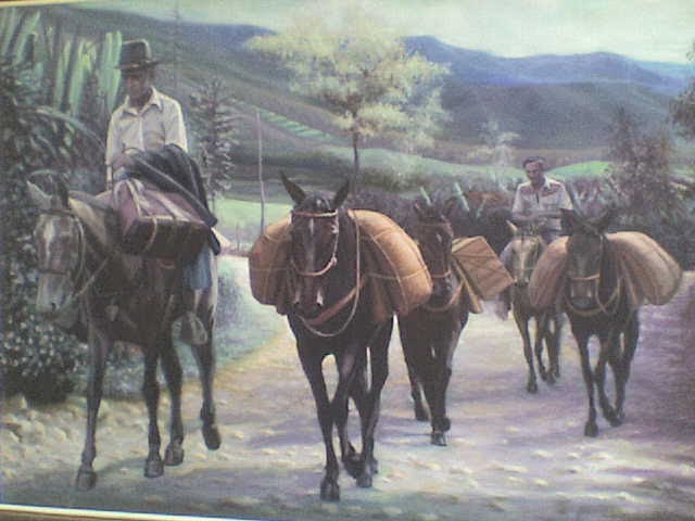 danza de arrieros: El arriero José.