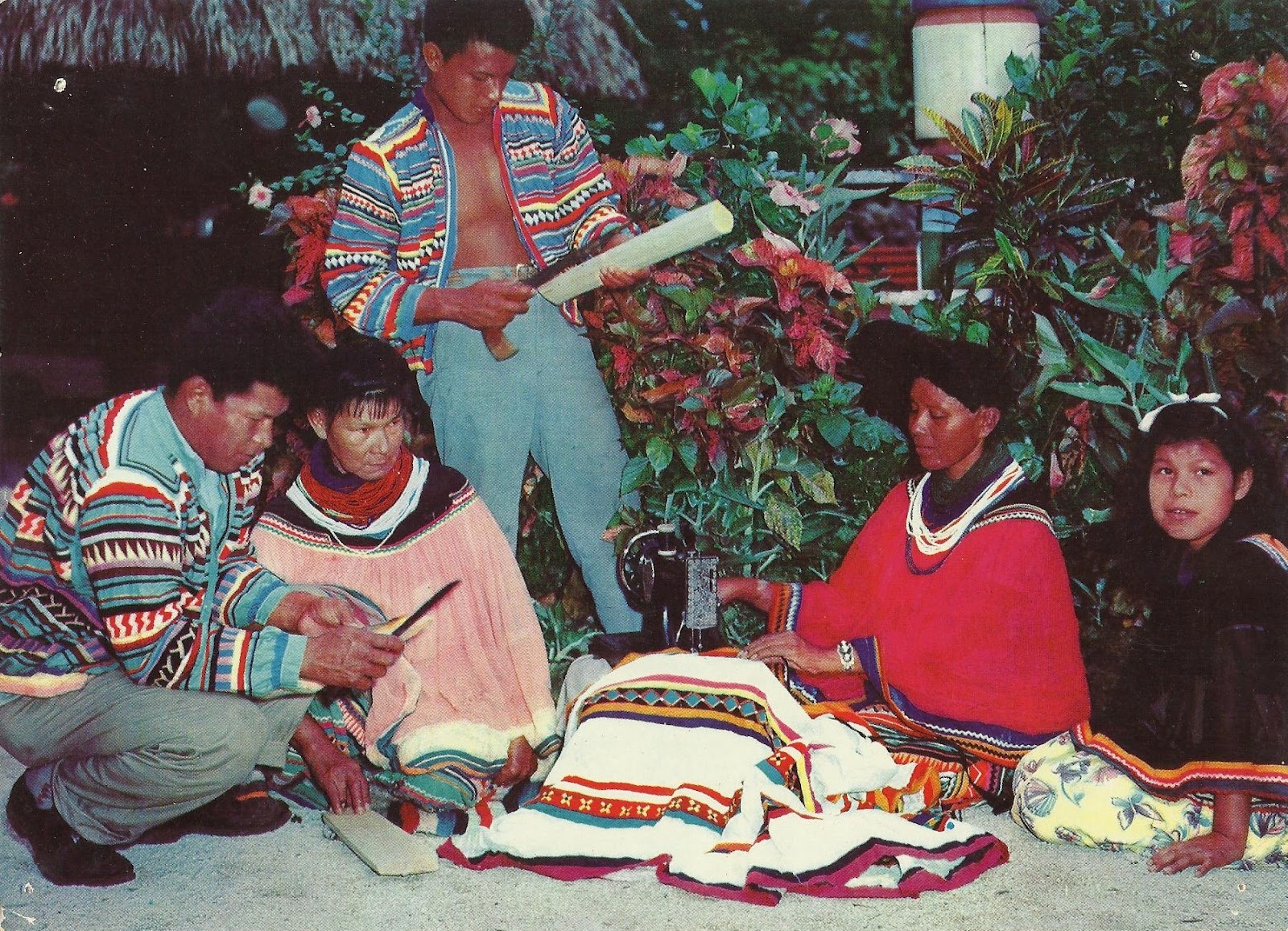 Vintage Travel Postcards Florida Seminoles