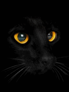 Https Encrypted Tbn0 Gstatic Com Images Q Tbn 3aand9gcr Iduz Esxg6bsdjn4ji1yn7jkzflwqo1glw Usqp Cau