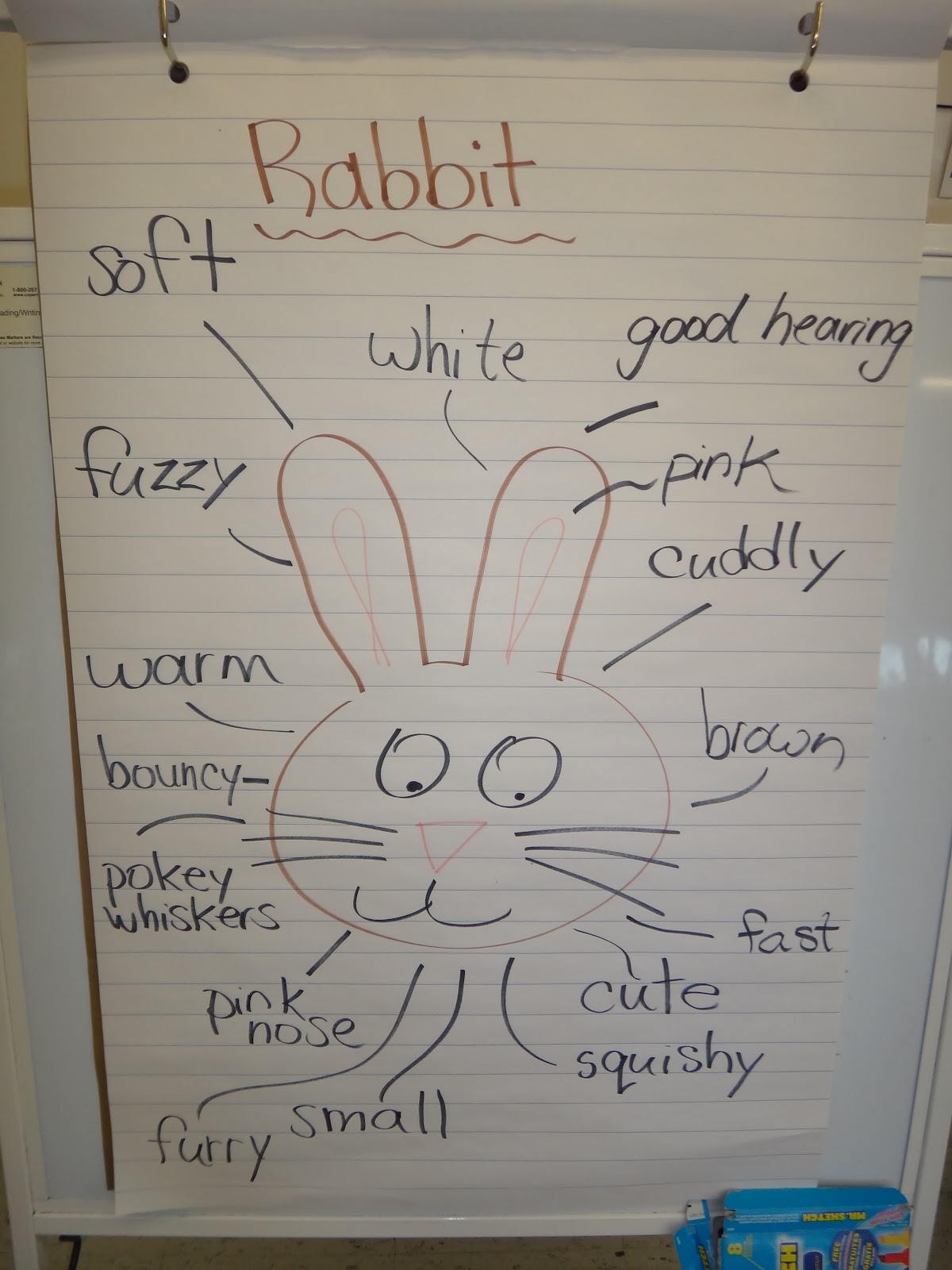 First Grade Garden Hoppy Easter!