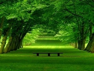 Natural Health And Science Discoveries Natural Health And Science Discoveries
