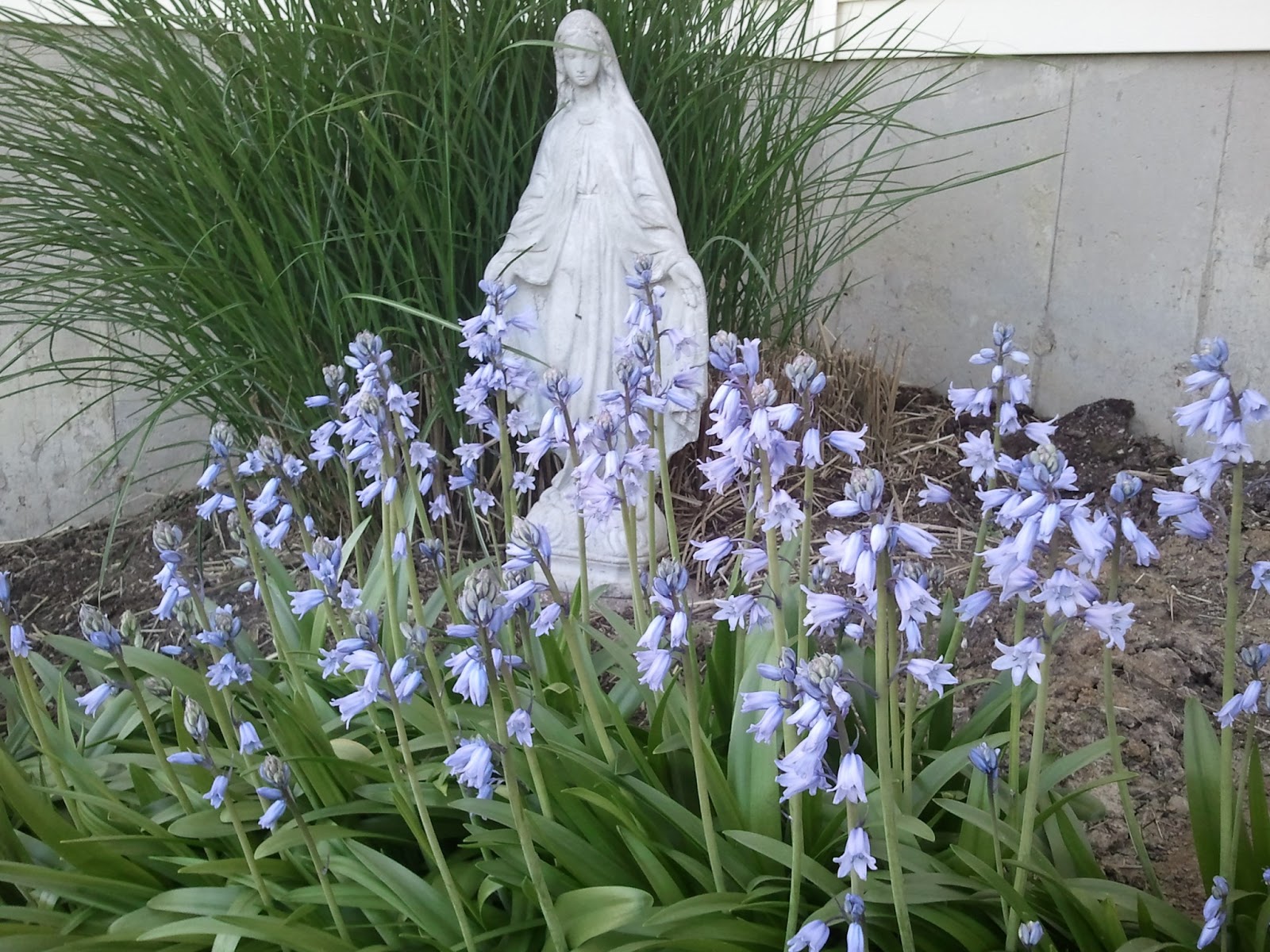 Catholic By Grace I Have a Mother