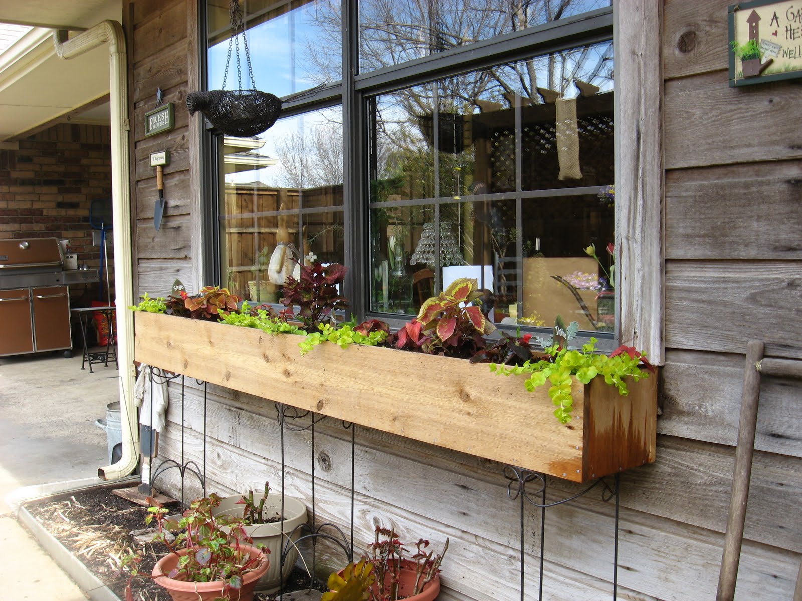 Meadowview Thymes New Window Box