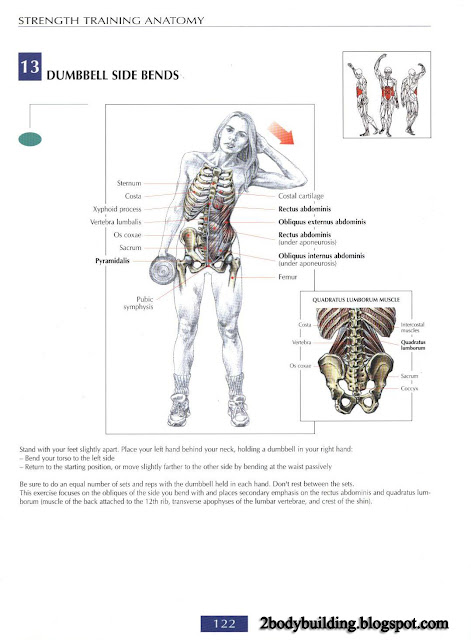 أهم تمارين لشد وتقوية عضلات البطن  Abdominal+122