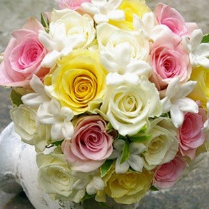 Rose Flowers Delivery in Spain Rose Flowers Delivery in Spain and Price