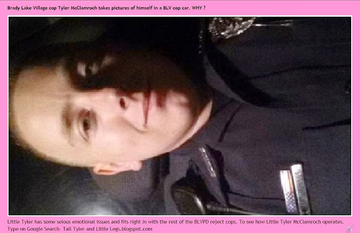 BLV cop Tyler McClamroch has written more tickets than any other BLV cop. - WHY ?