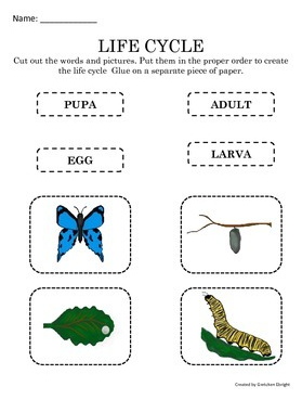 Teaching with Elly Thorsen: December 2014