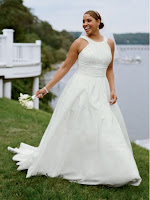 2011 Davids Bridal Plus Size Wedding Dresses Spring Collection