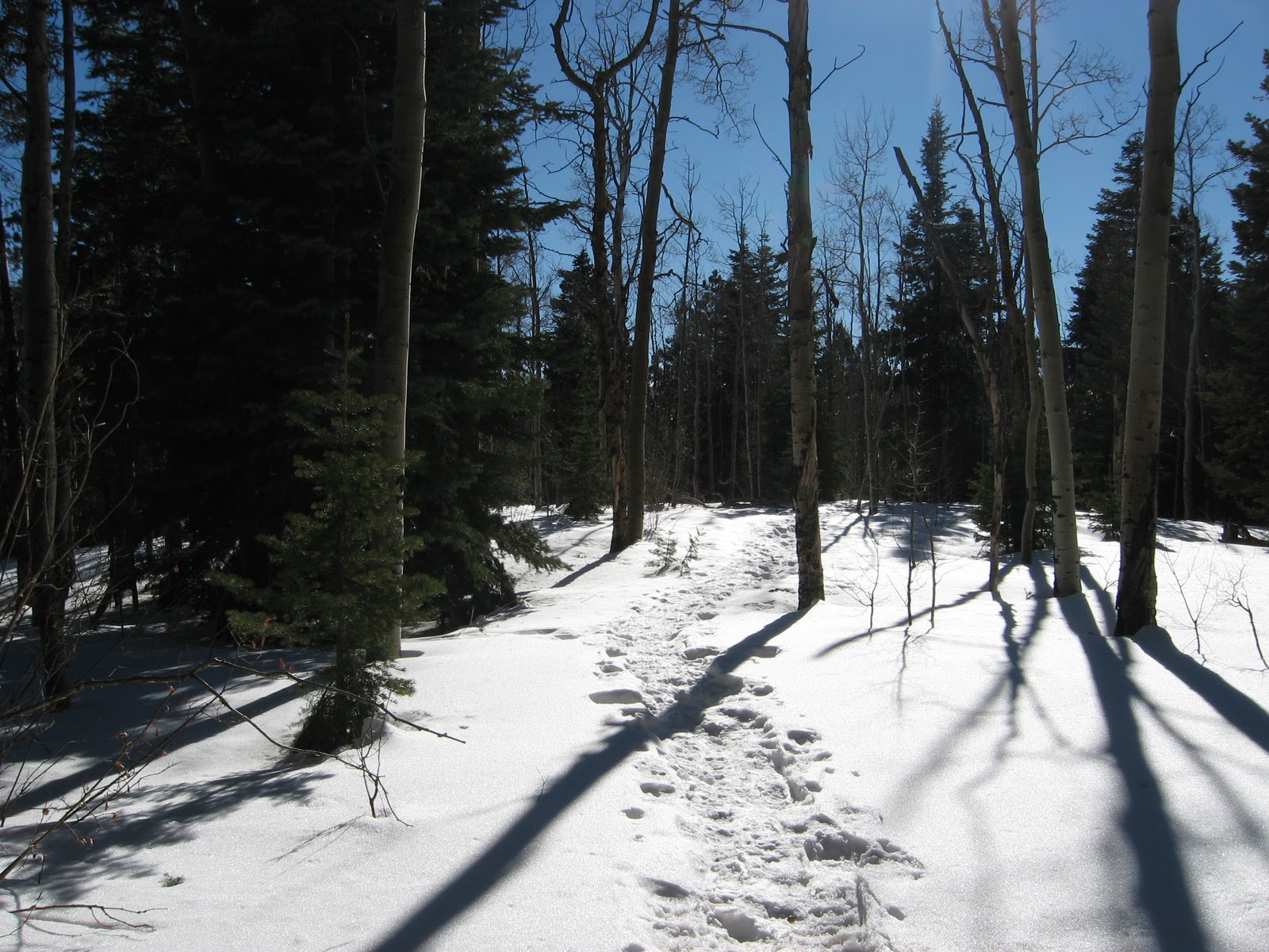 Santa Fe Ski Basin / New Mexico Western Trips