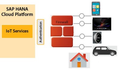 The Road to SAP HANA & Beyond . . . The Road to SAP HANA & Beyond . . .
