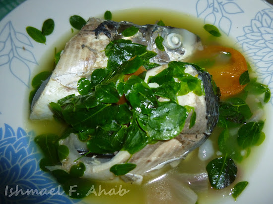 Tinolang Bangus