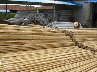 Dried Bamboo Sticks Idea